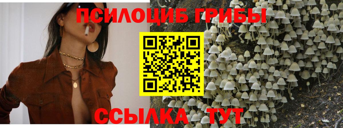 Еманжелинск  Псилоцибиновые грибы мицелий  Вход с VPN  Псилоцибиновые грибы мицелий 